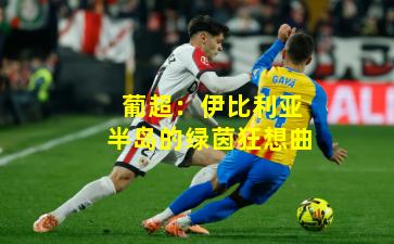 葡超:伊比利亚半岛的绿茵狂想曲